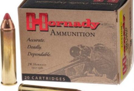 Hornady Custom Cal.460 S&W Mag. FTX® – 20 Balles