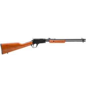 Rossi Gallery Gun .22 LR Pump Action