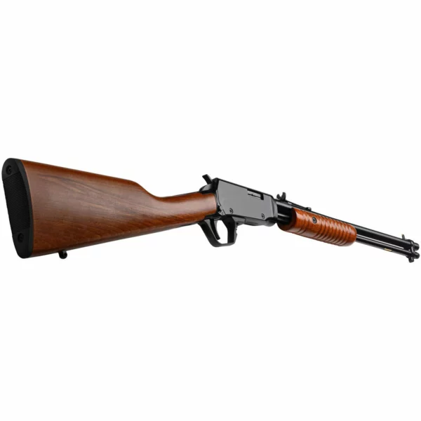 Rossi Gallery Gun .22 LR Action À Pompe – Image 3