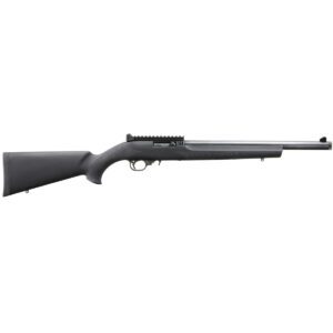 Ruger 10/22 Carbine Rifle