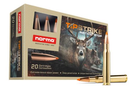 Norma TipStrike .30-06 Sprg. 170 Gr. – 20 Rounds