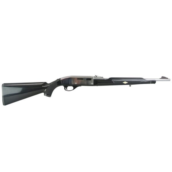 Remington Nylon 66