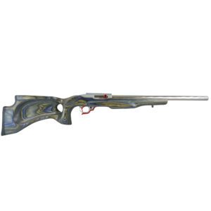Ruger 10/22 Custom