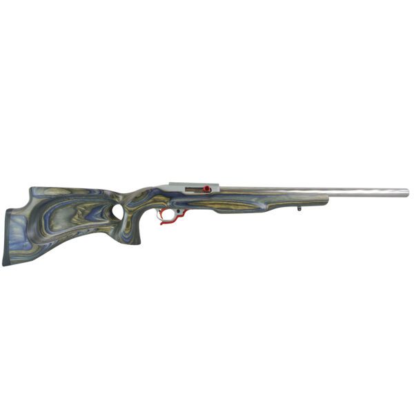 Ruger 10/22 Custom
