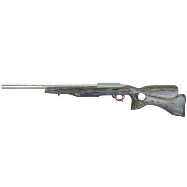 Ruger 10/22 Custom - Image 2